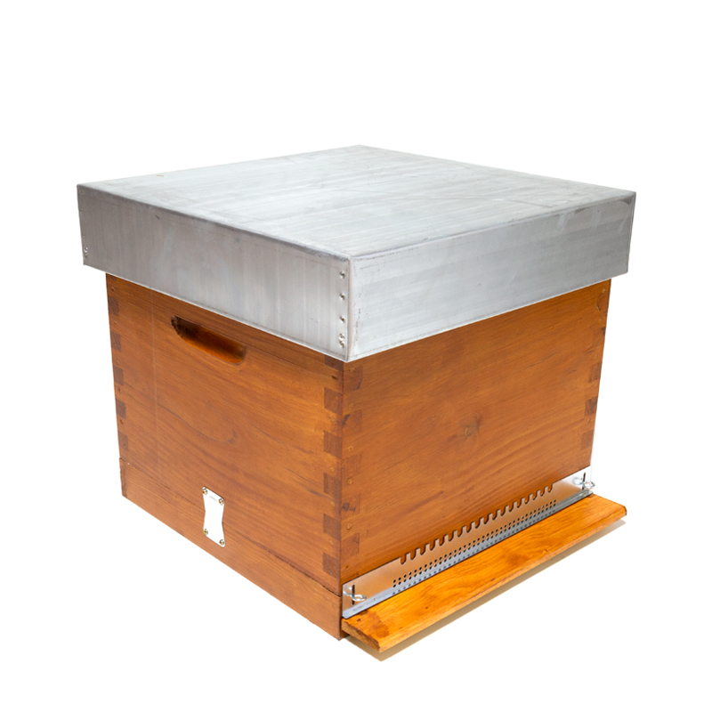 Colmeia da Loja “da Colmeia”